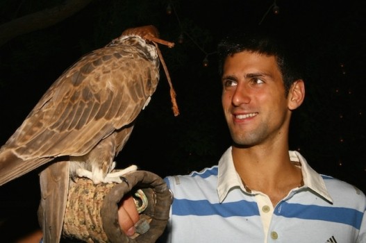 Djokovic 1.jpg Djokovic 1.jpg